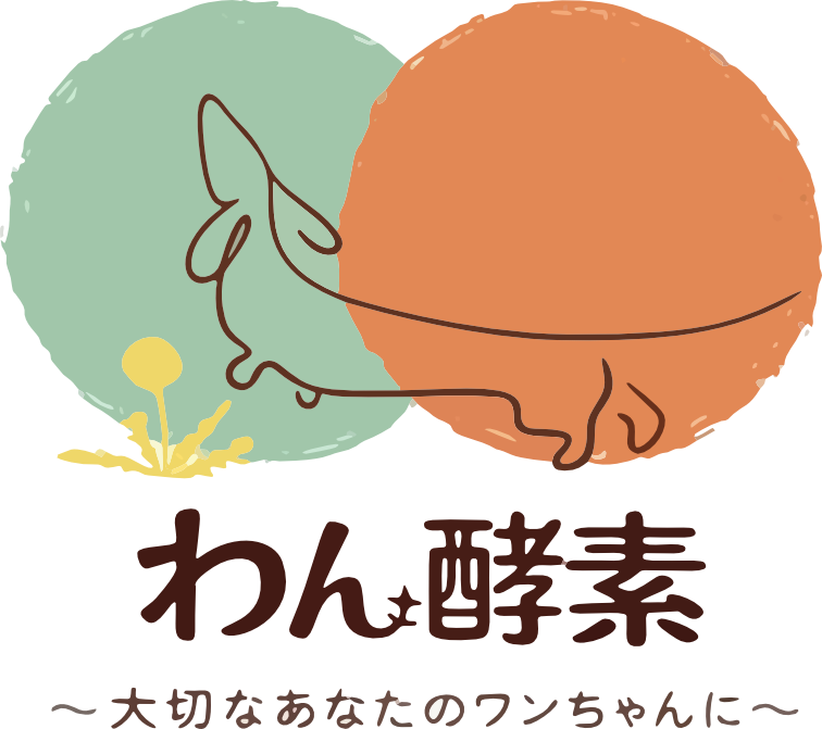わん酵素 大切なあなたのワンちゃんに