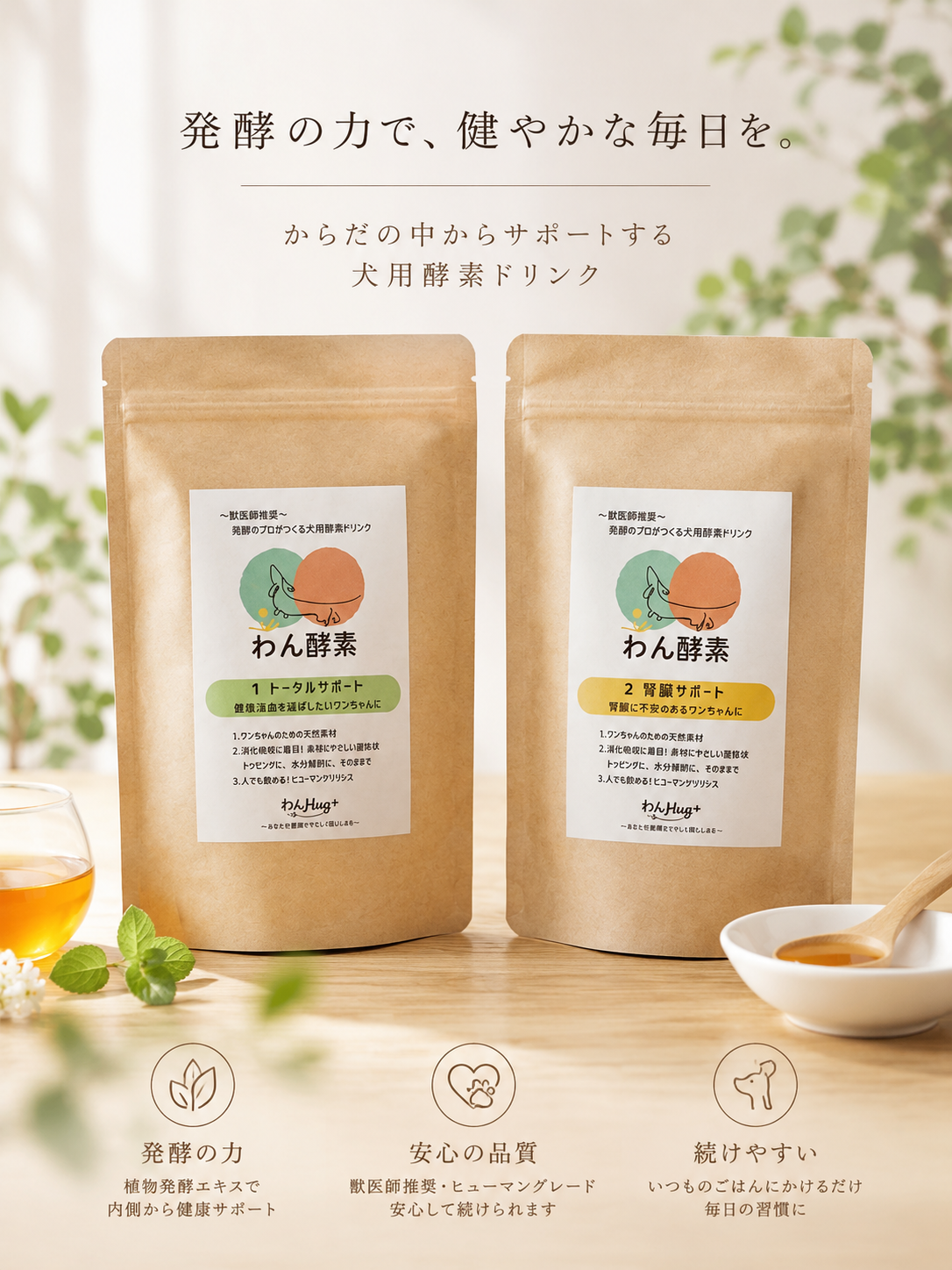わん酵素
