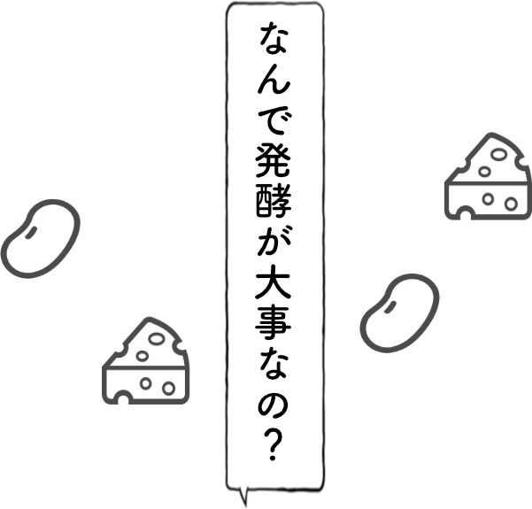 10年長期発酵のこだわり