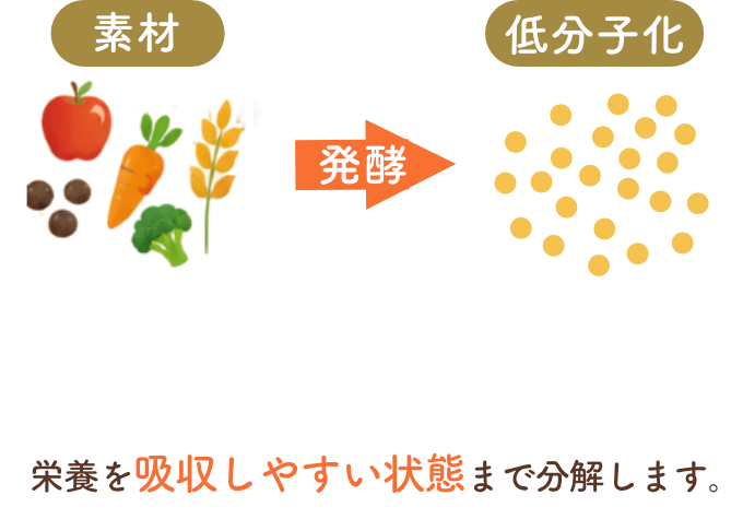 一滴も無駄にしない
