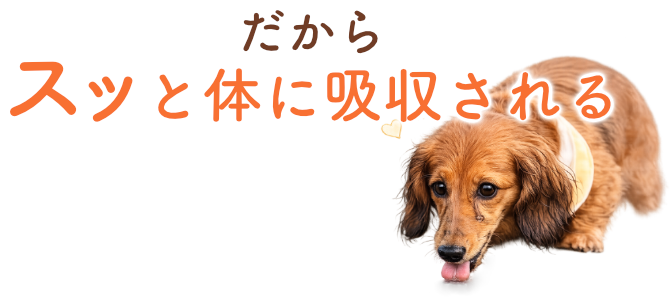 無添加へのこだわり
