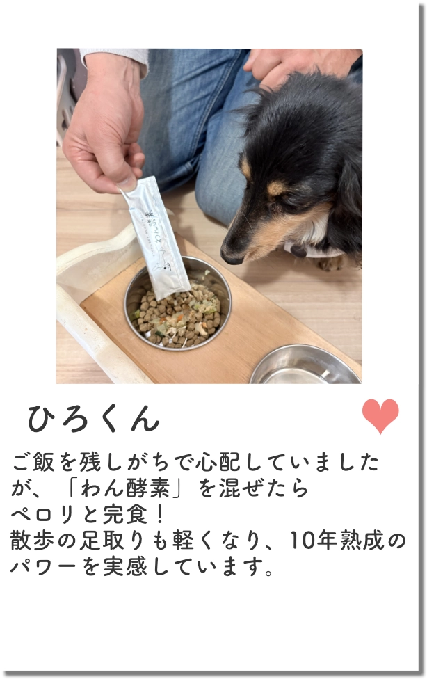 レビュー1