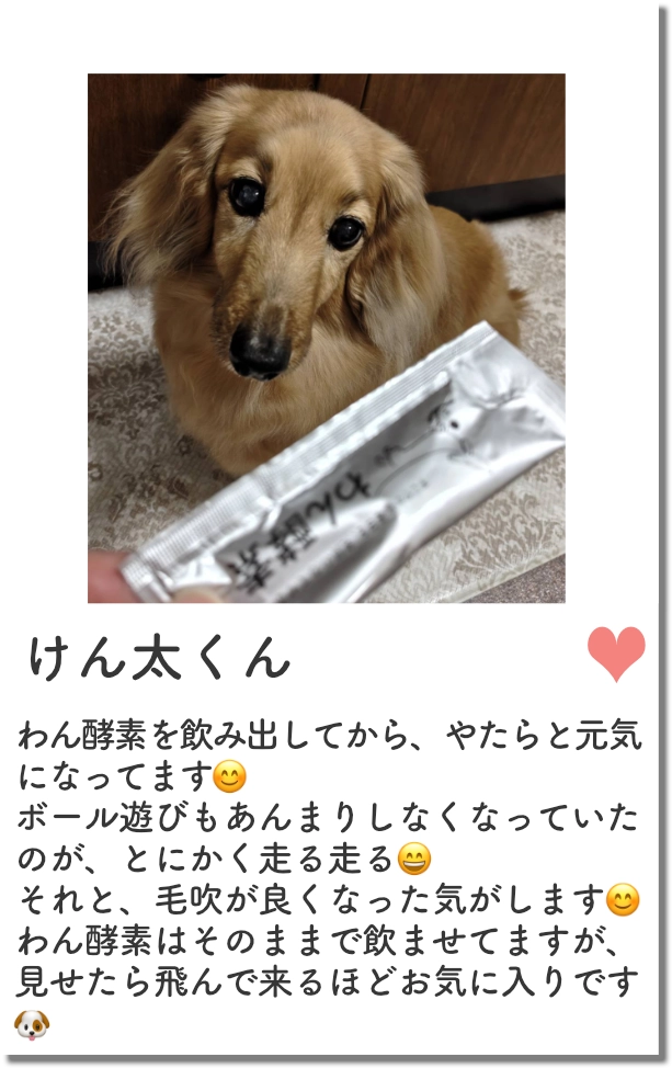 レビュー2