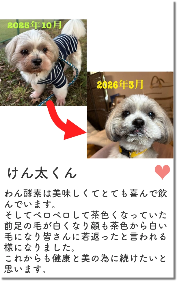 レビュー3