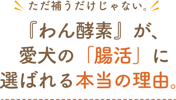 腸活タイトル