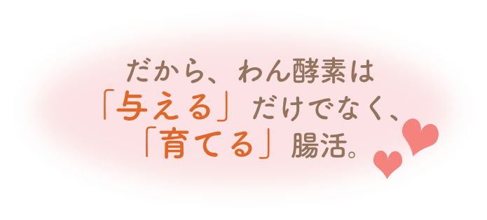 腸活まとめ