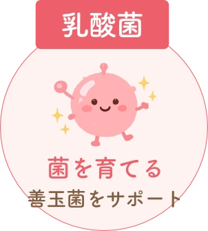 腸活イメージ1
