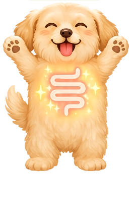 腸活イメージ4