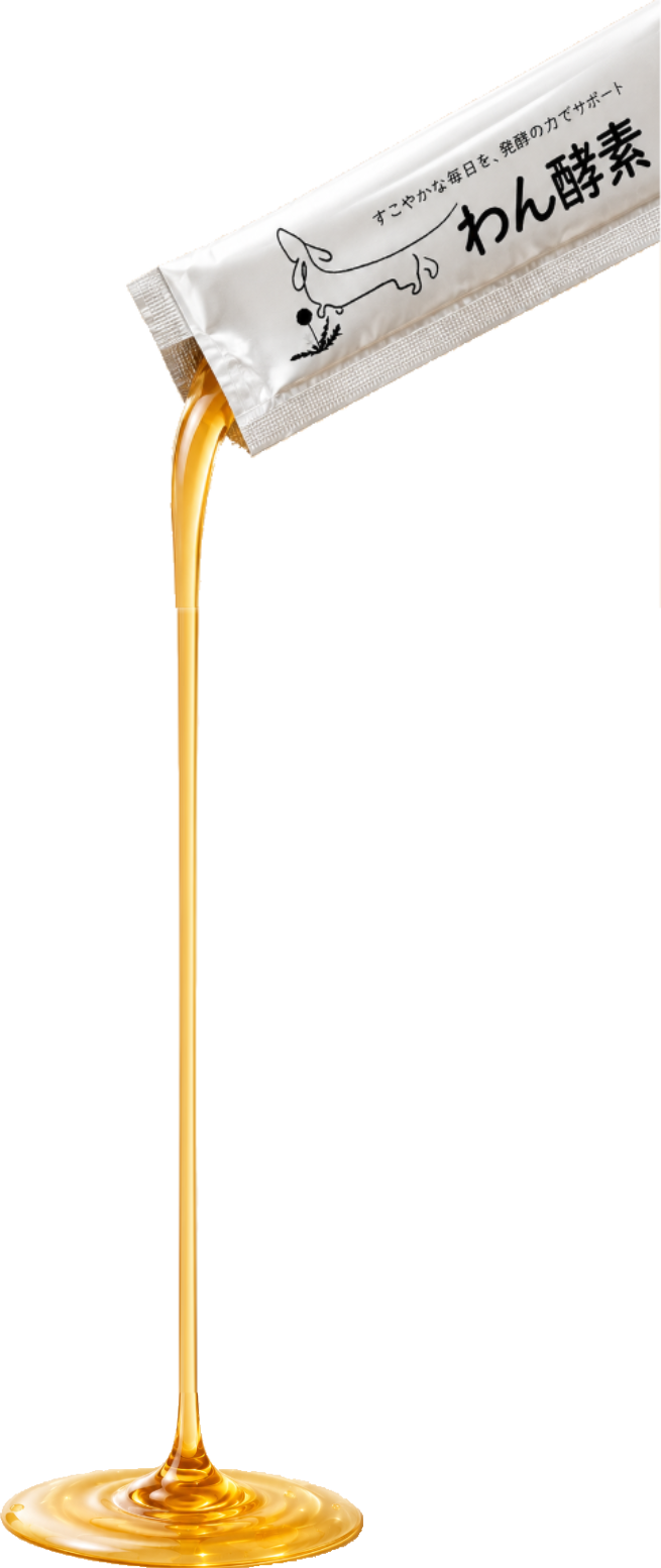 わん酵素の特徴