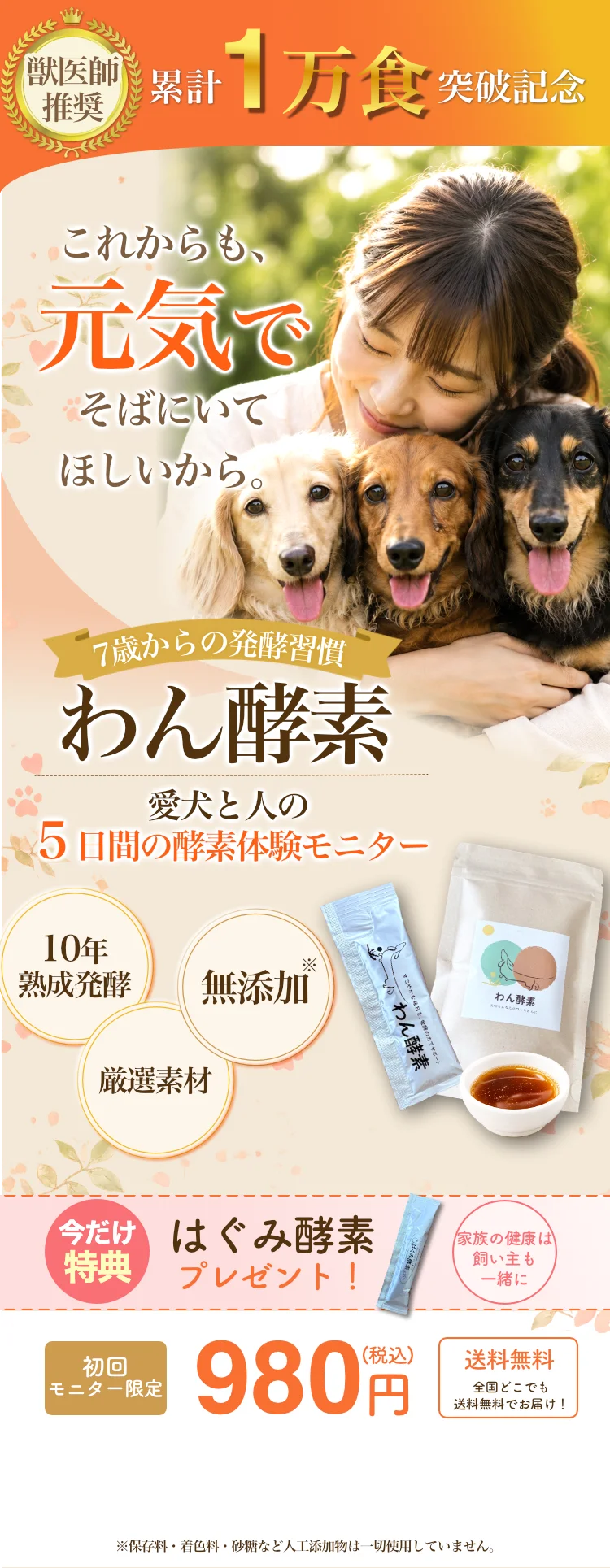 わん酵素メイン