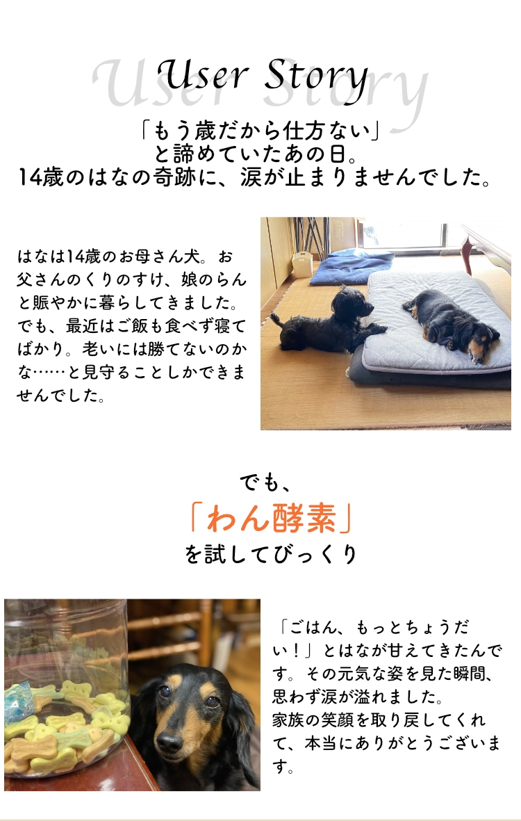 背景3