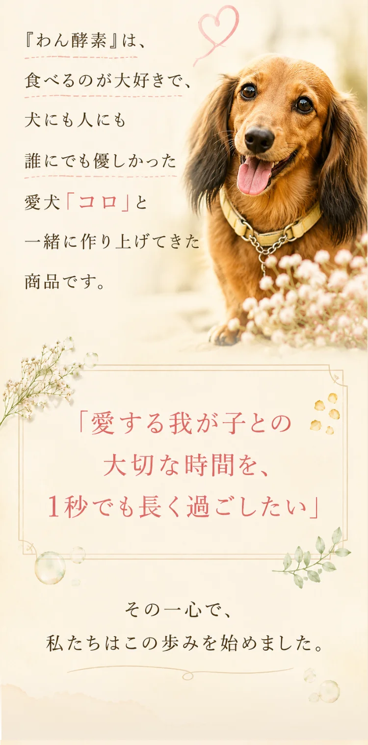 フッター記載1