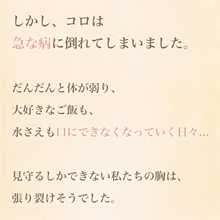 フッター記載2