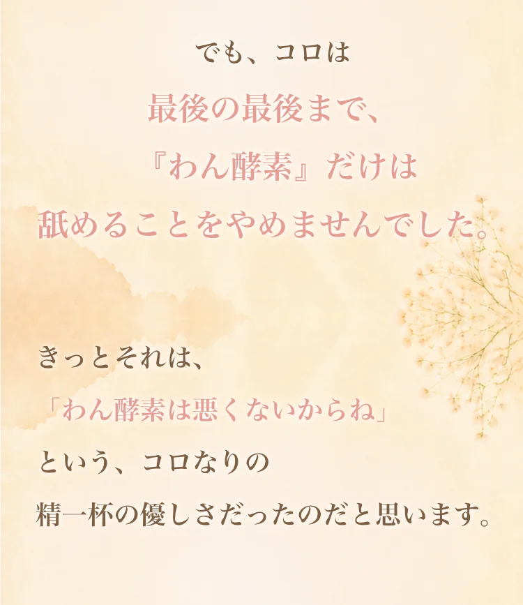フッター記載3