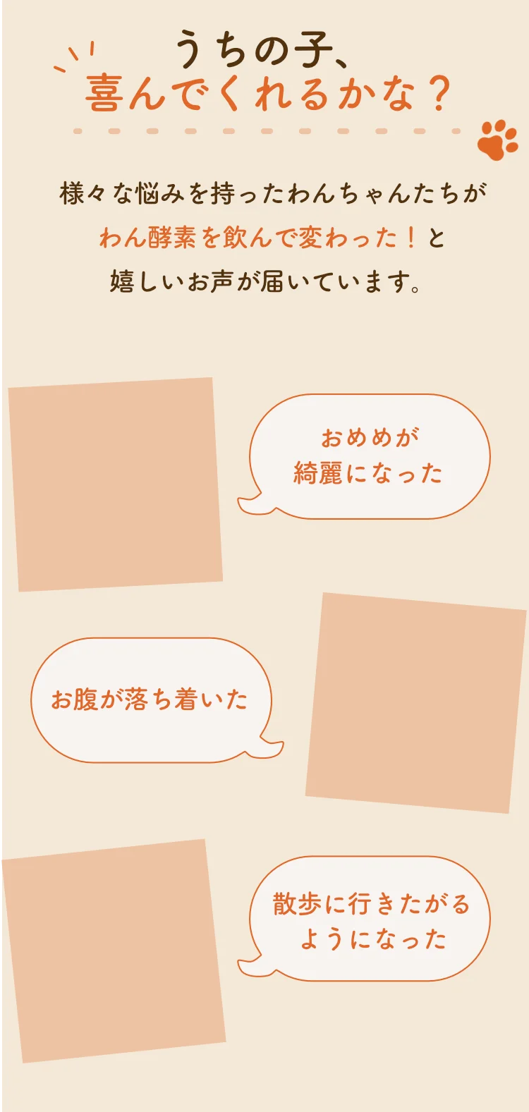 レビュー1