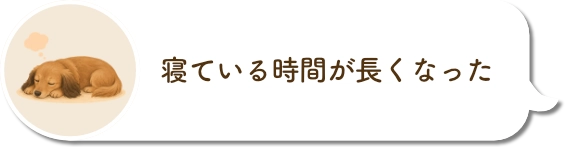 便が安定しない日がある