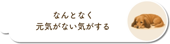 好き嫌いが増えてきた